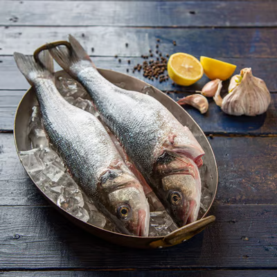 06b8c76f95c9cdc8946095ab871a7f2f