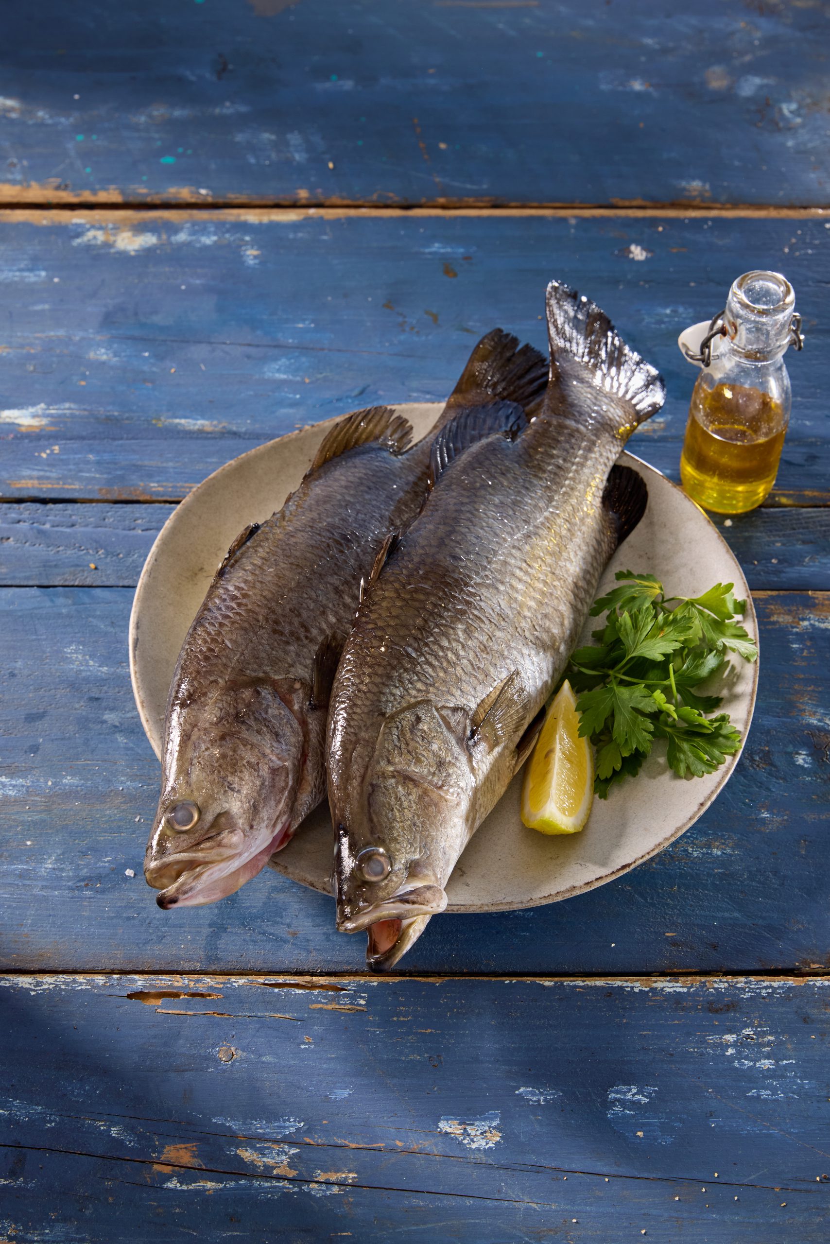 ברמונדי ( לוקוס אוסטרלי )