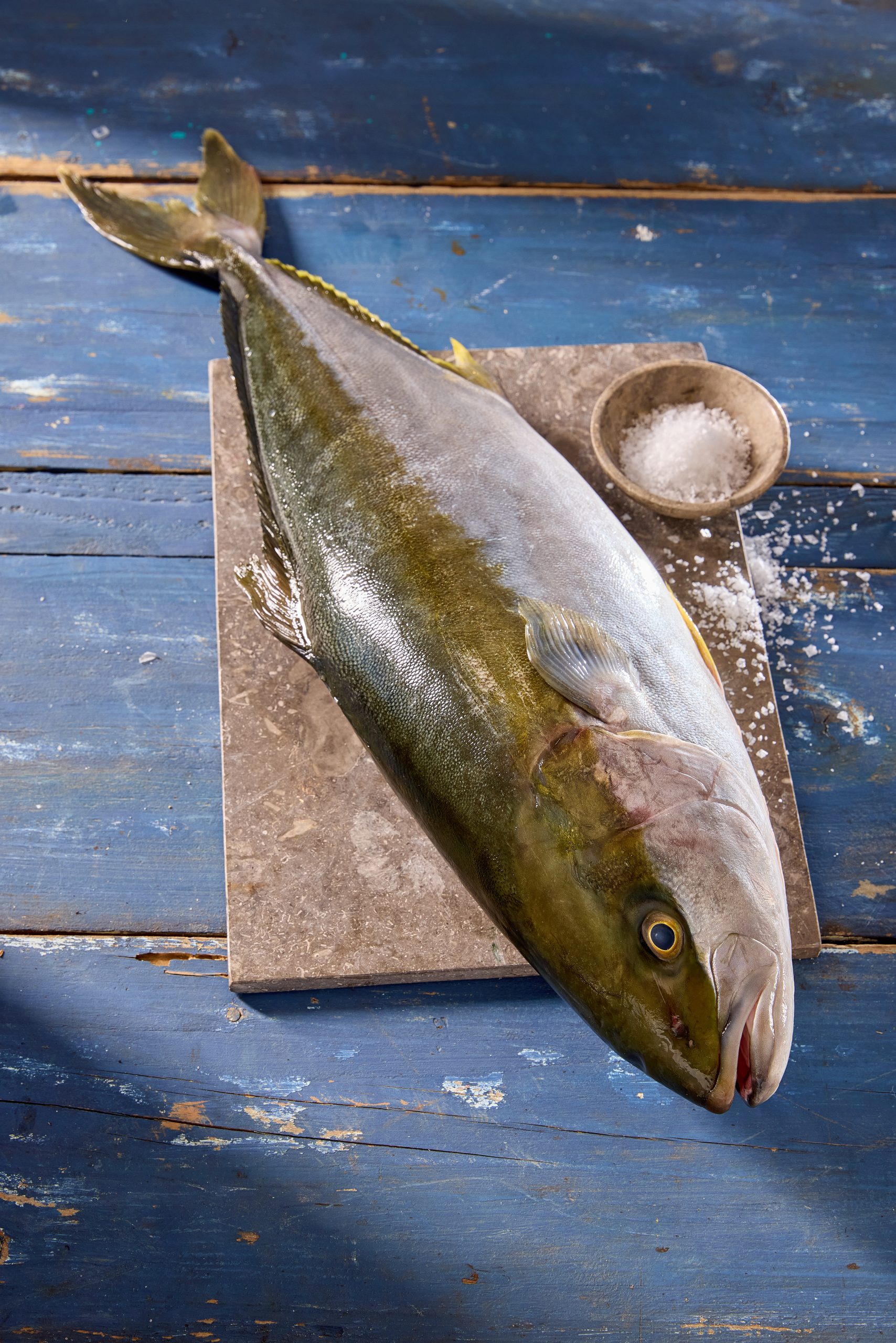 יילוטל - האמצי