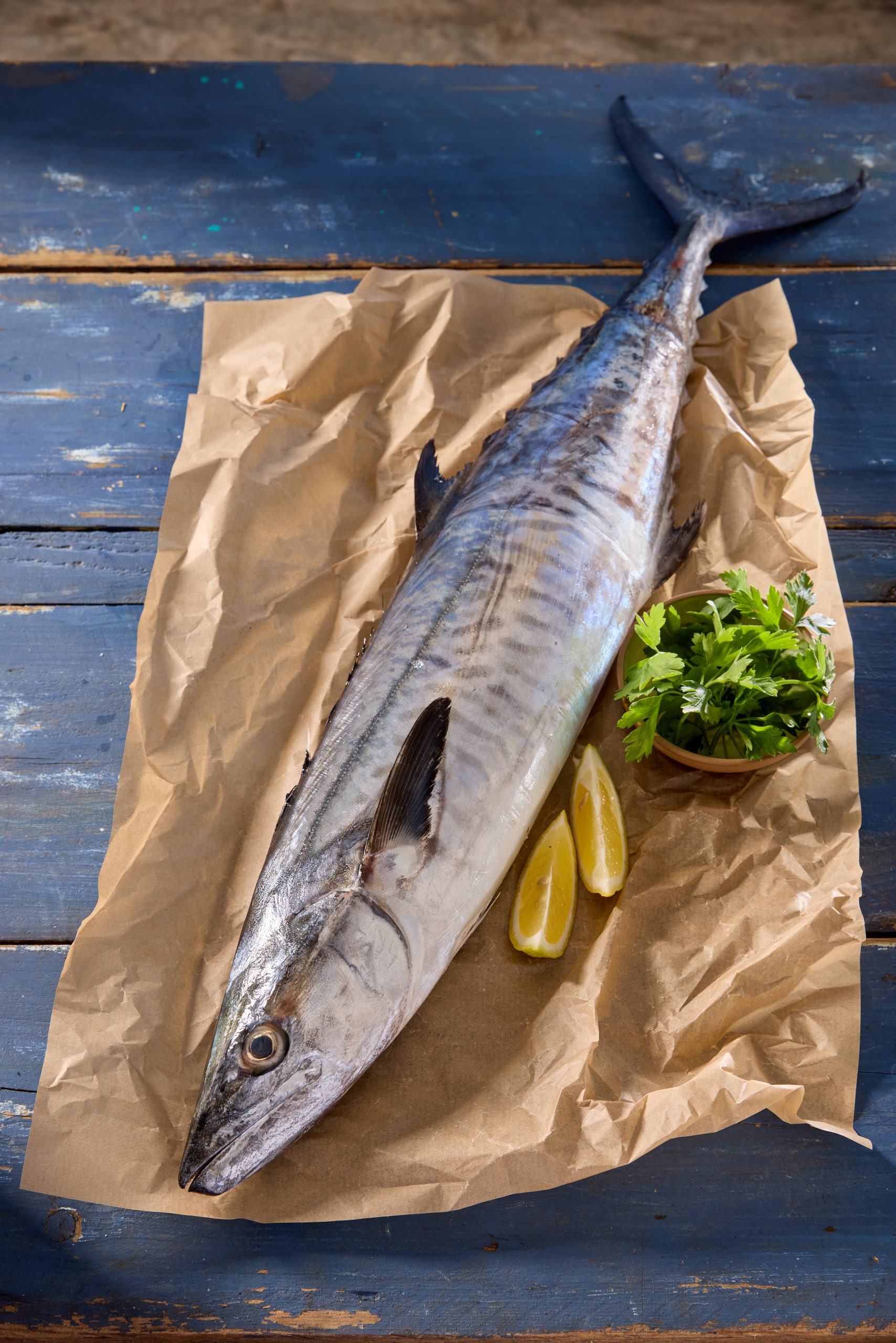 פלמידה לבנה